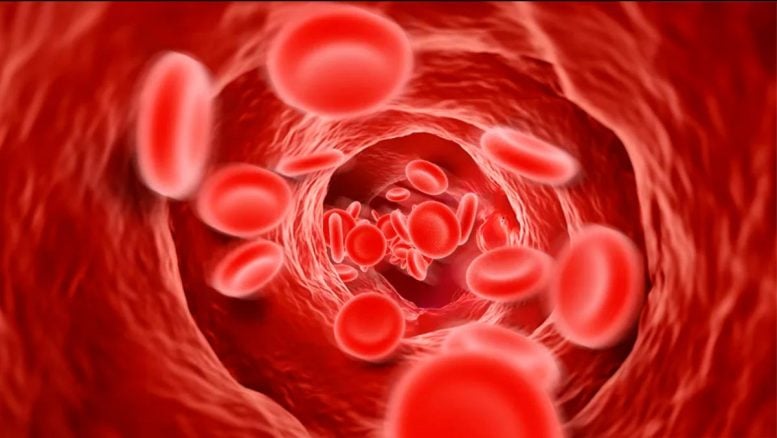 Red blood cell pressure